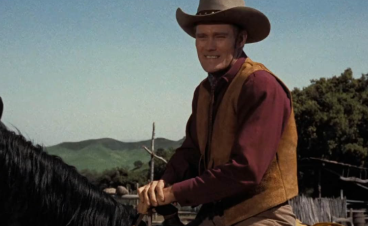 chuck connors net worth